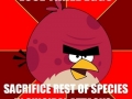 Angry Birds Logic