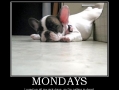 Mondays