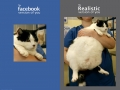 Facebook vs. Reality