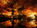 I love Autumn nights