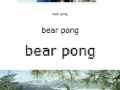 Bear Pong