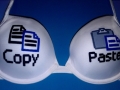 Copy & Paste Bra