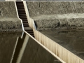 Moses Bridge