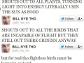 Twitter account of the year
