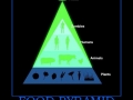 Food Pyramid