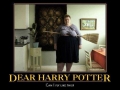 Dear Harry Potter