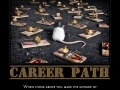 Career Path