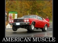 American Muscle