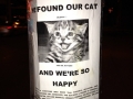 We found our cat!