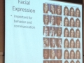 Lecture about expressions