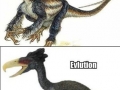 Evlution, stahp!