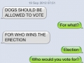 Dogs should vote