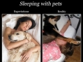 Sleeping with pets