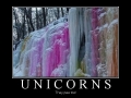 Unicorns