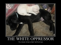 The White Oppressor