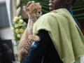Bolt & his practice partner