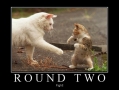 Round 2