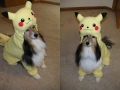 Pikachu Dog Costume