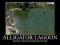 Alligator Lagoon