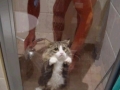 Let me out please