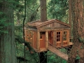 My Dream Home