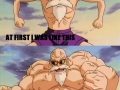 Just Master Roshi