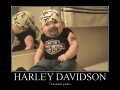 Harley Davidson