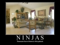 Ninjas, Can You See Them?
