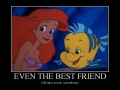 Even the best friend