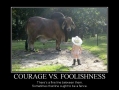 Courage
