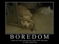 Boredom
