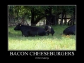 Bacon Cheeseburgers