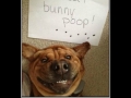 That's a sh*t eating grin