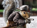 Captain Jack Squirrel