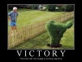 Victory