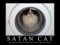 Satan Cat