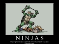 Ninjas