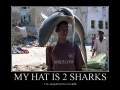 My hat is two sharks