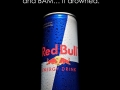 Butterfly & Red Bull