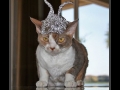 Iz Mine Alu Foil Hat