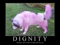 Dignity