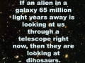 We're Dinosaurs
