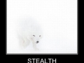 Stealth