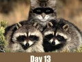 Day 13