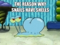 The secret of snails
