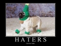 Haters