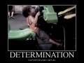 Determination