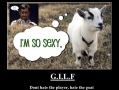 G.I.L.F