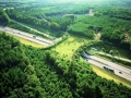Wildlife bridge for animals