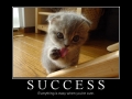 Success
